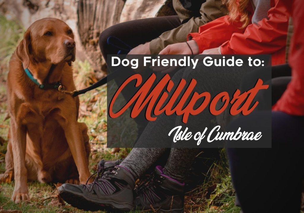 Dog Friendly Guide to Millport, Isle of Cumbrae