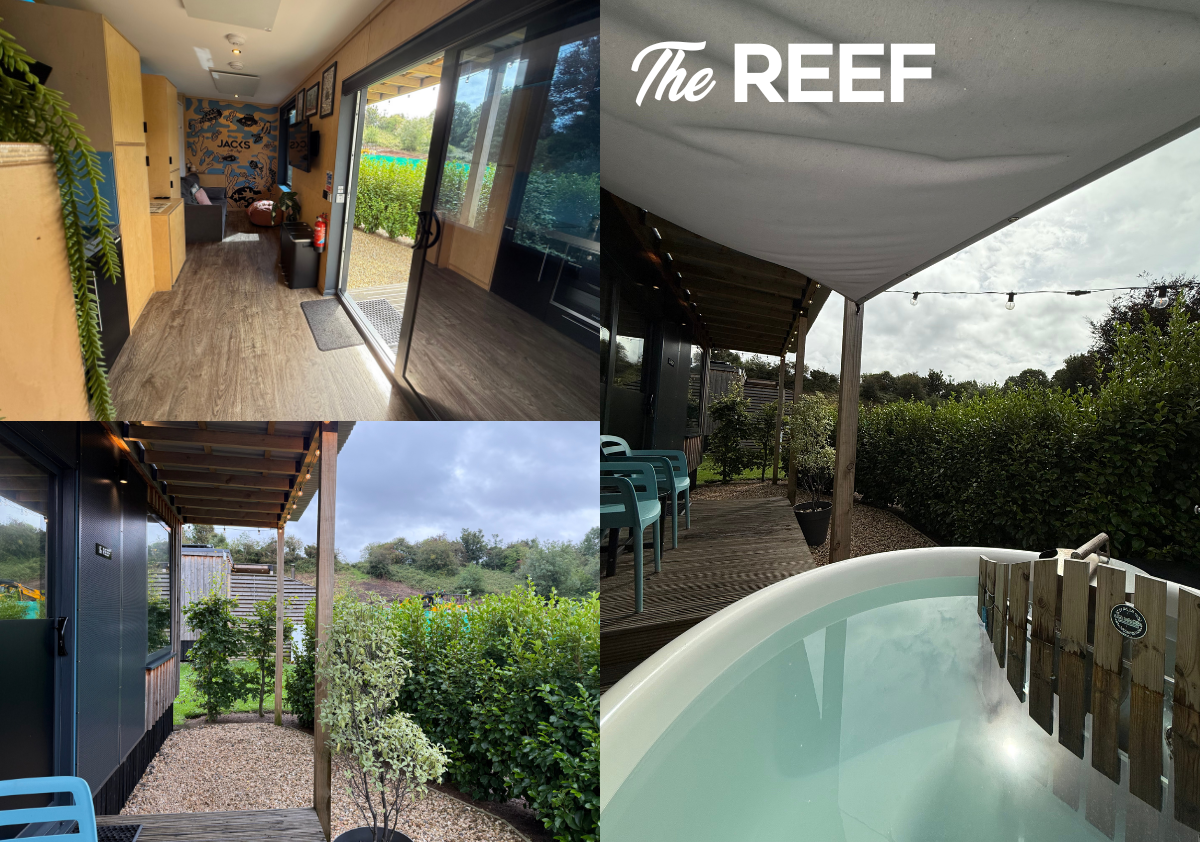 The Reef Perspective