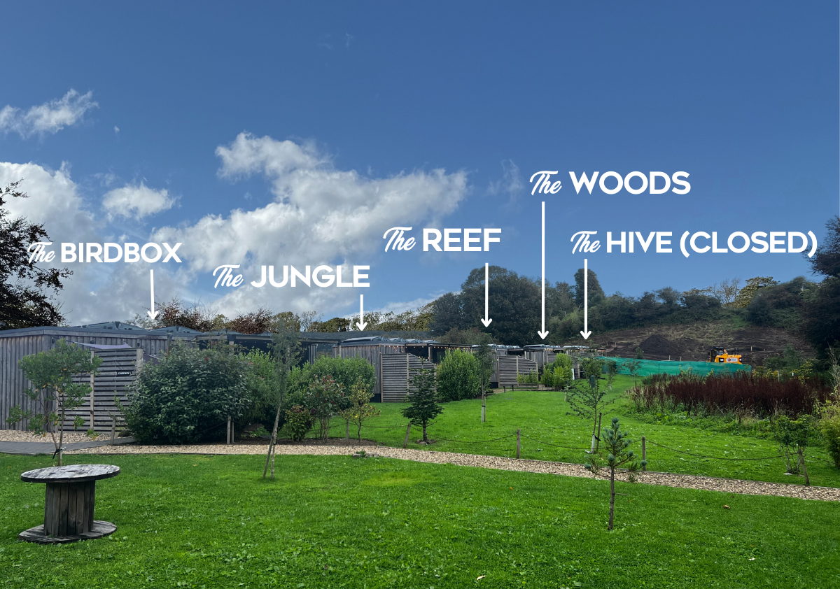 The Site