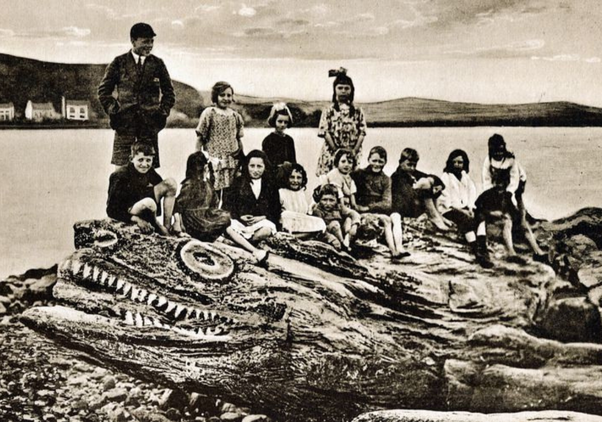 Crocodile Rock, Millport, Isle of Cumbrae Crocodile Rock, Millport, Isle of Cumbrae