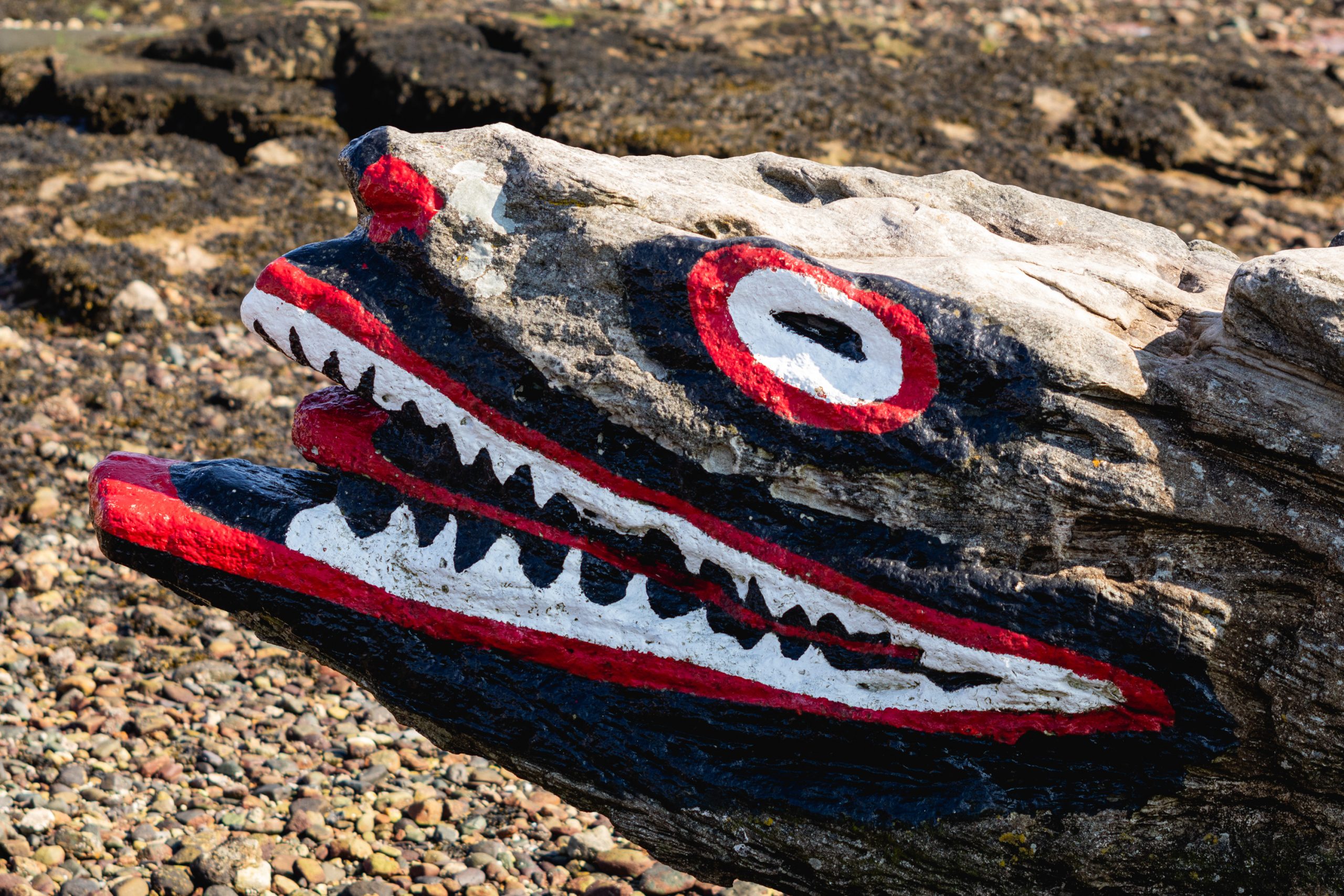 Crocodile Rock Millport